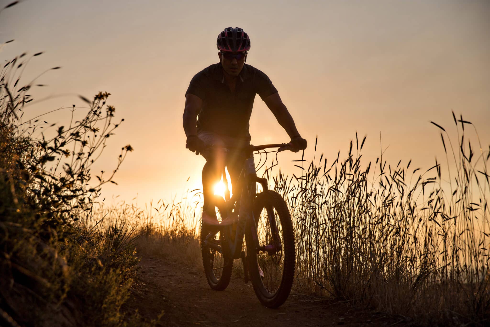 Picking the Best Road/Gravel Bike Base Camp Cyclery